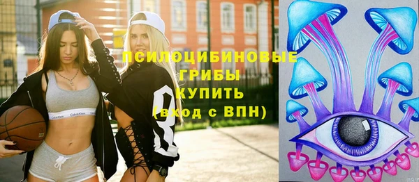 круглые Алексеевка