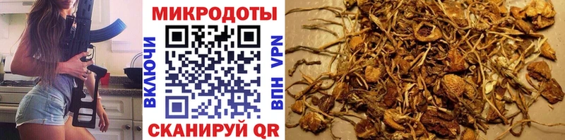 мега вход продажа наркотиков Новоалександровск Галлюциногенные грибы Psilocybine cubensis